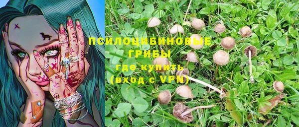соль курить ск Абаза