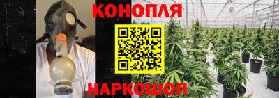 Альфа ПВП Тула