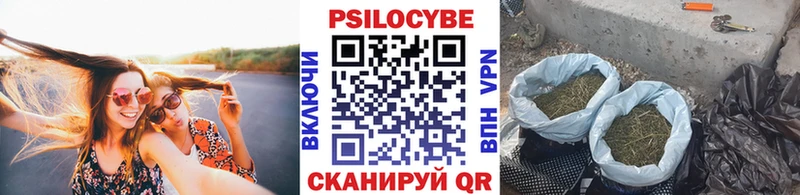 Псилоцибиновые грибы ЛСД  kraken как зайти  Красноперекопск 